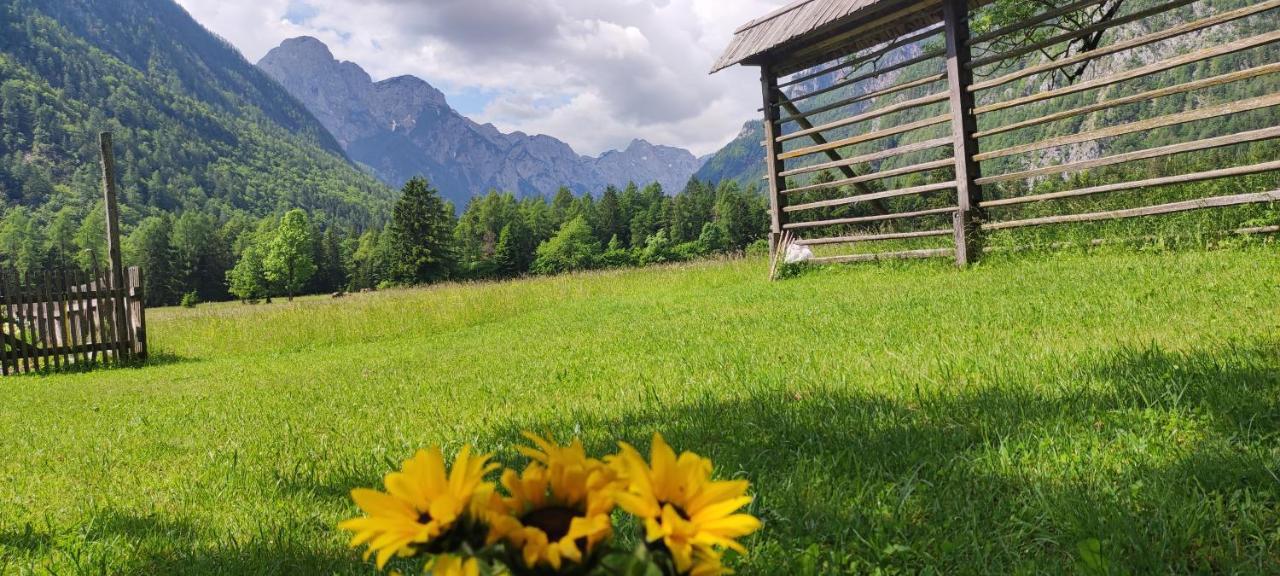 Appartement Turisticna Kmetija Psnak à Mojstrana Extérieur photo
