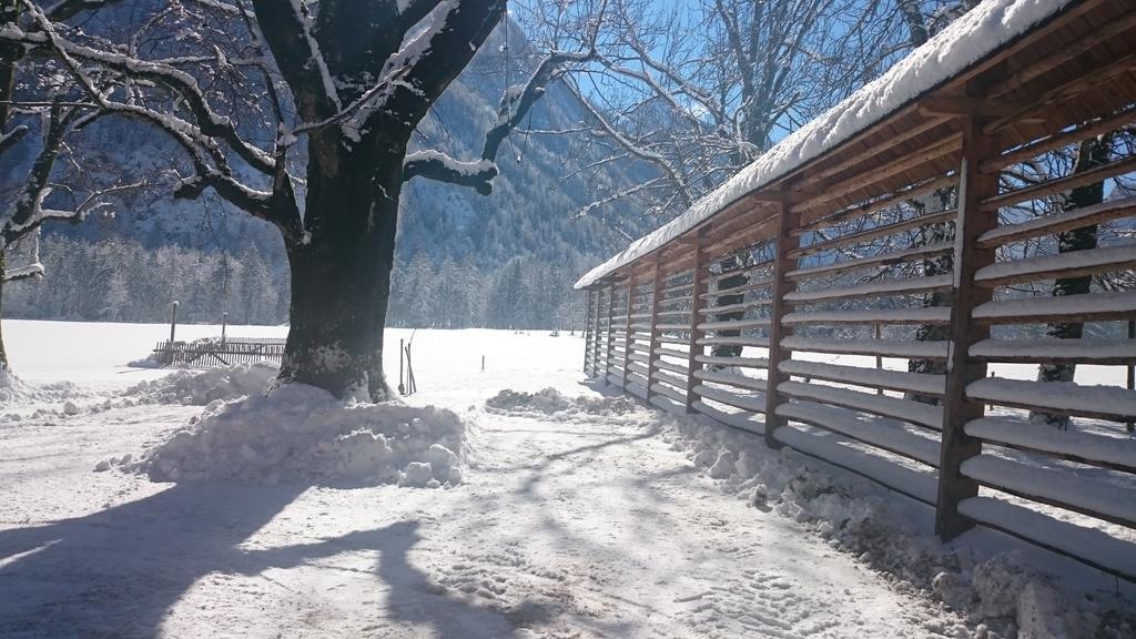 Appartement Turisticna Kmetija Psnak à Mojstrana Extérieur photo