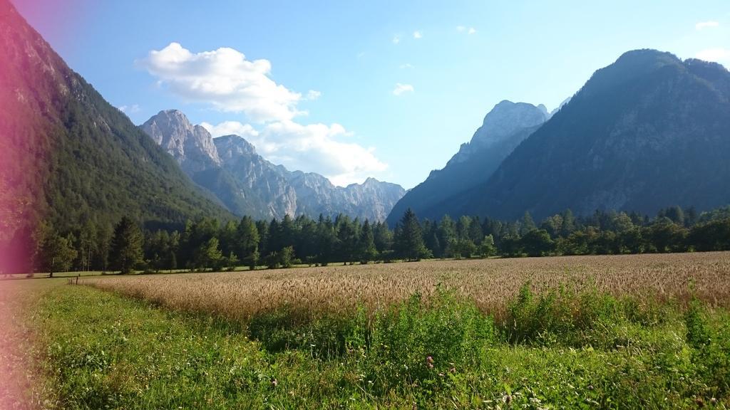Appartement Turisticna Kmetija Psnak à Mojstrana Extérieur photo