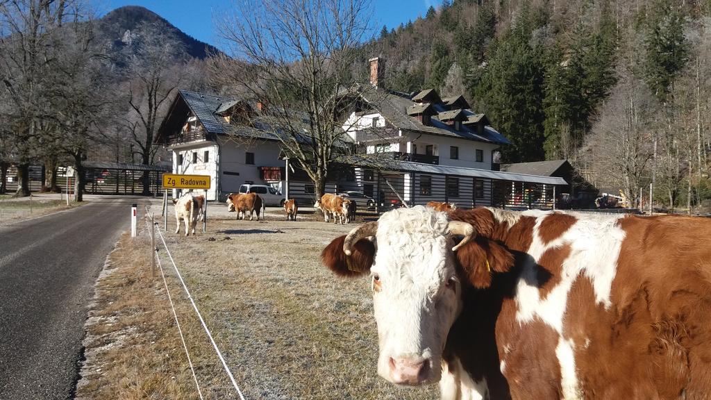 Appartement Turisticna Kmetija Psnak à Mojstrana Extérieur photo
