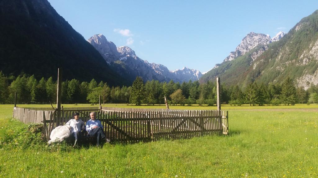 Appartement Turisticna Kmetija Psnak à Mojstrana Extérieur photo