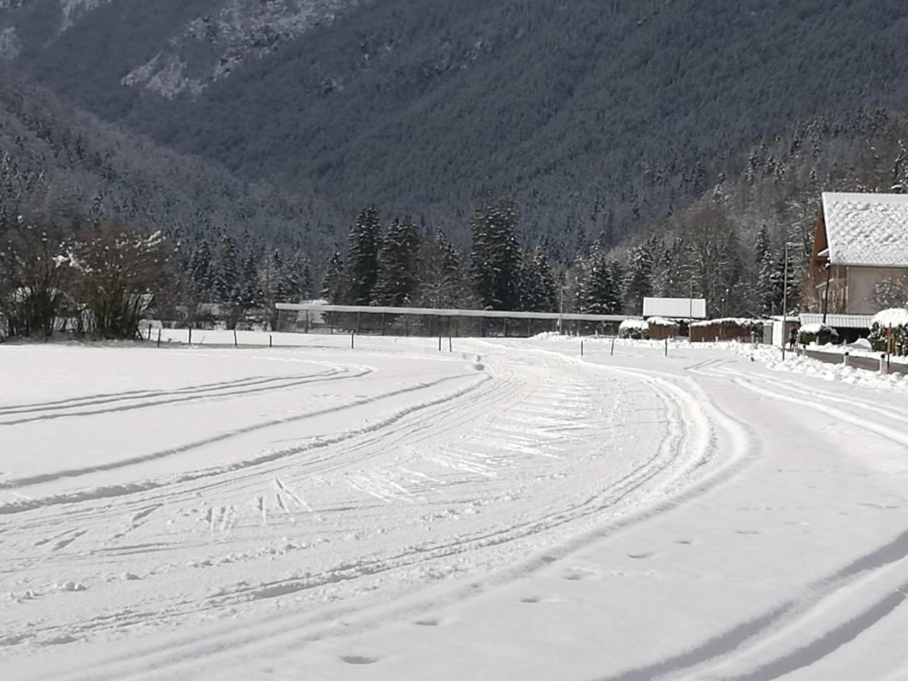 Appartement Turisticna Kmetija Psnak à Mojstrana Extérieur photo